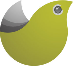 Silvereye Solution